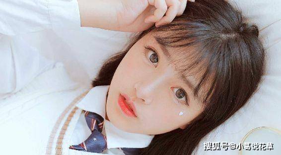 欲钱找白白嫩嫩的生肖代表什么生肖详细解答、解释与落实、统计解答解释落实